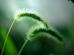 白羊座今年多大,白羊座今年多大年龄了