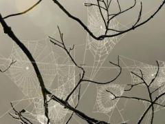 白羊座男生突然不回消息,白羊座男生不爱一个人的表现