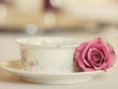 避开冲鼠2025年3月嫁娶最佳吉日 2025年3月1日冲什么属相