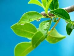 吉利日测算2025年4月 哪日最适合你