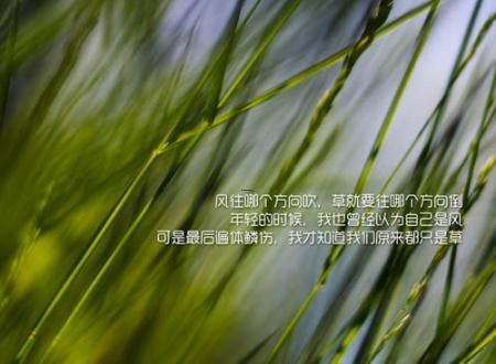 男人最想娶的星座是什么