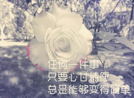 2025年五月四吉利与适宜的日程安排