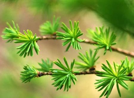 2025年4月最佳开业日查询 合适的吉日推荐