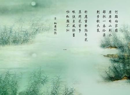 男九五年属猪的婚姻配对