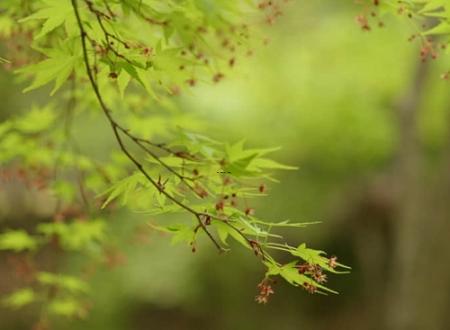 男人桃花运手相,男人桃花运面相