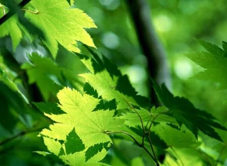 2025年农历5月最吉利开业日测算 哪日最适宜开业