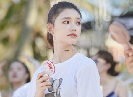 甲寅乙卯丙辰大运,甲寅乙卯丙辰丁巳什么意思