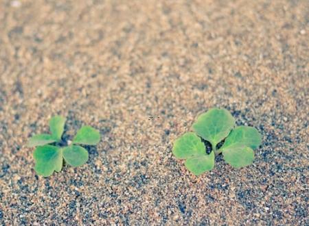 吉利开业日测算 2025年5月哪天适合