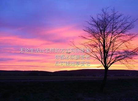 男人属牛女人属兔婚姻配不配,男人属牛女人属兔婚姻配不配对