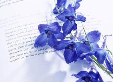 生辰八字依据什么,生辰八字依据什么测算
