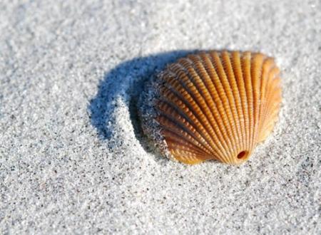 2025年4月搬家适宜日测算 哪日吉利