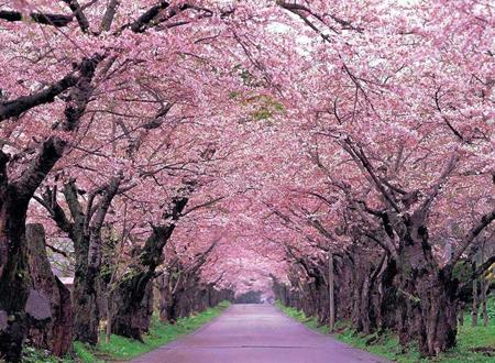吉利2025年5月适宜的日子查询 哪日最适合