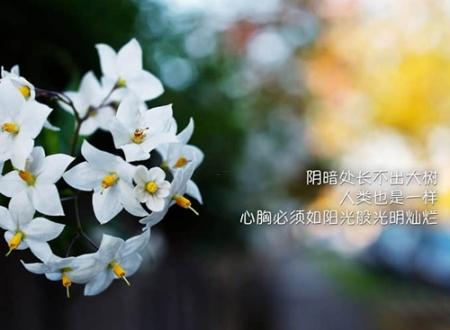 2025年4月最佳建房日测算 哪日最合适
