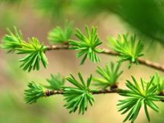 2025年4月最佳开业日查询 合适的吉日推荐