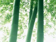 男人左眼总跳什么预兆,男人左眼下眼皮跳是什么预兆
