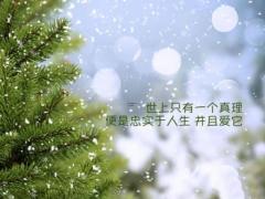 男属羊女属龙婚配好吗,男属羊和女属龙的人合适在一起吗