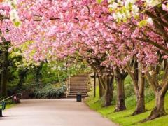 2025年4月哪日最吉利与属马的喜庆日