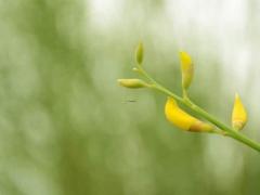 2025年4月是最佳日子还是犯太岁