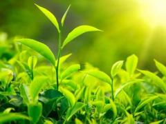 2025年4月买房吉日查询 哪日最合适