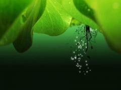 适合出门的黄道吉日 2025年5月最吉利日子汇总