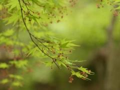 男人桃花运手相,男人桃花运面相