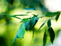 2025年5月剪发好日子推荐 哪天吉利