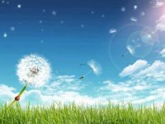 生辰八字免费算桃花运,生辰八字算婚姻