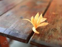 白云观怎么找道士算命,白云观有算命的道士吗