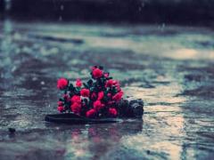甲木命格代表什么,命格属木什么意思