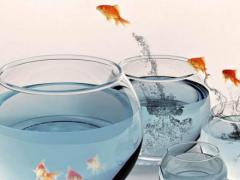 装修最佳吉日查询 2025年5月适合的日子