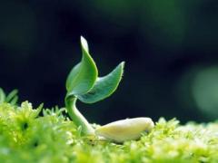 2025年5月最佳日子适宜的吉日