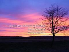 男人属牛女人属兔婚姻配不配,男人属牛女人属兔婚姻配不配对
