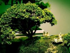 2025年4月结婚适宜日子查询 哪天吉日