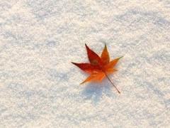 避开煞羊2025年3月嫁娶吉日良辰吉时 2025年适合几月嫁娶
