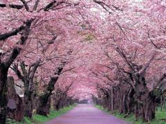吉利2025年5月适宜的日子查询 哪日最适合