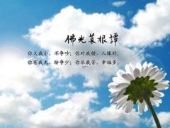 男属马女属猪合不合,男属马女属猪生什么宝宝好