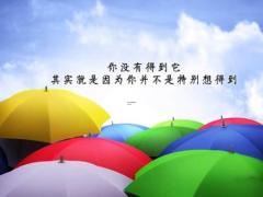 男属牛本命年能结婚吗,属牛男本命年能要小孩吗
