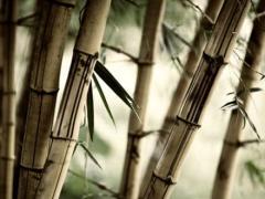 男人梦见自己孩子丢了,男人梦见自己孩子丢了又找回来了