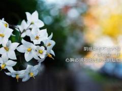2025年4月最佳建房日测算 哪日最合适