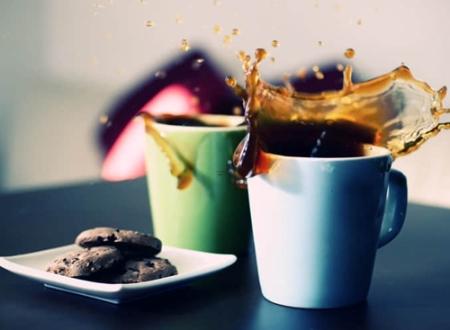 猫到家里拉屎预兆,猫到家里来拉屎是什么征兆