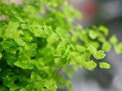 2025年阳历5月最好开业吉日测算