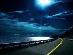 狮子座跟什么星座比较般配,狮子座跟什么星座比较般配呢