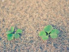 适宜搬家的吉利日子查询 2025年5月属虎的选择
