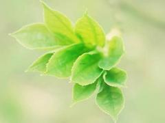 测试目前的桃花运,测试桃花运2021