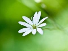 流年以日柱还是年柱准确率高,流年与日柱相合代表什么