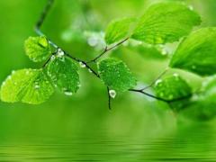 流年丑未相冲会出现什么,流年丑未相冲婚姻宫