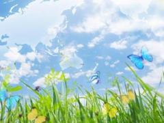 没有桃花运是前世造成