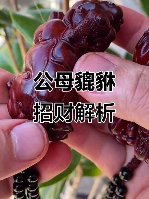 貔貅男人带公还是母的好,貔貅男带公的还是母的