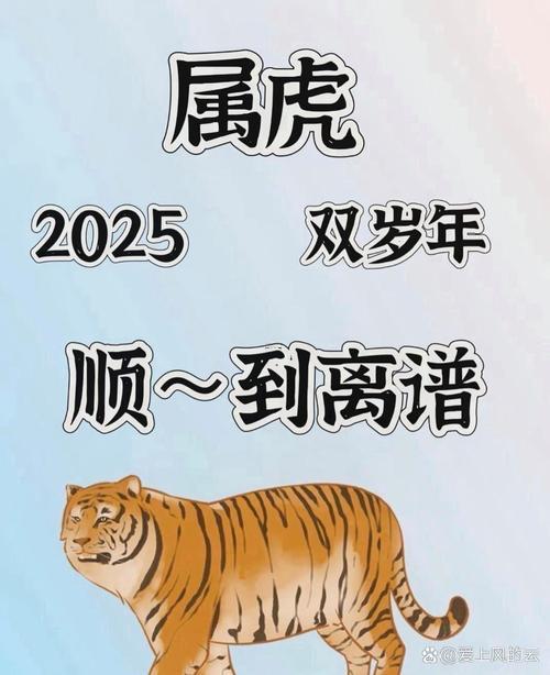 属虎202312月运势,属虎人202012月运势