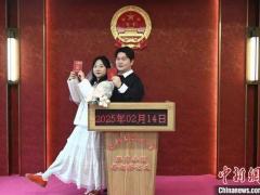 2025年11月8领证吉日 11月8号适合领结婚证吗